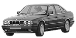 BMW E34 B16F9 Fault Code